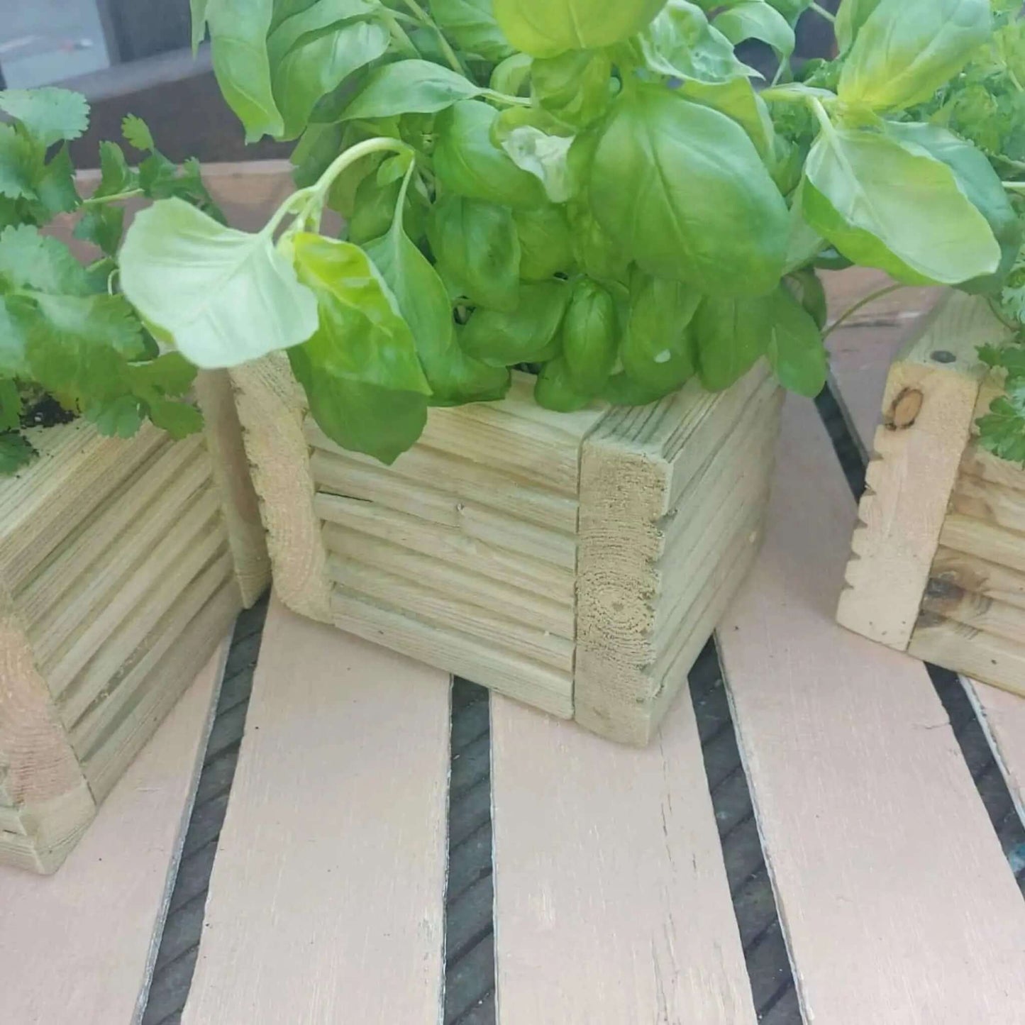 Wooden Decking herb planter boxes pack of 3