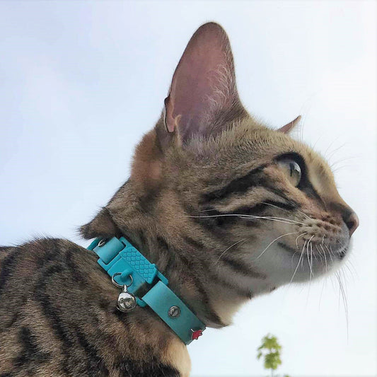 KITTYRAMA AQUA CAT COLLAR - Quick Release, Breakaway, Hypoallergenic