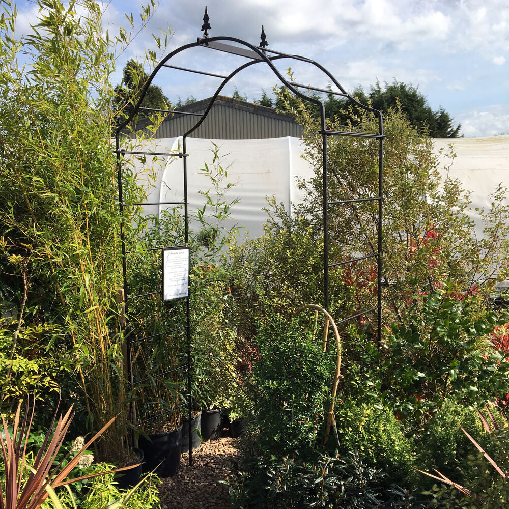 PoppyForge Arcadia Arch
