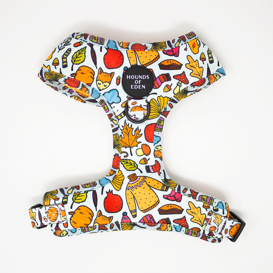 Country Pupkin - Autumnal Doodle Dog Collar