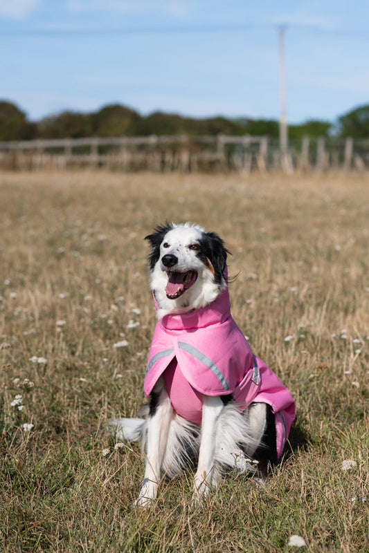 Luxe Waterproof Dog Coat 250g - Baby Pink