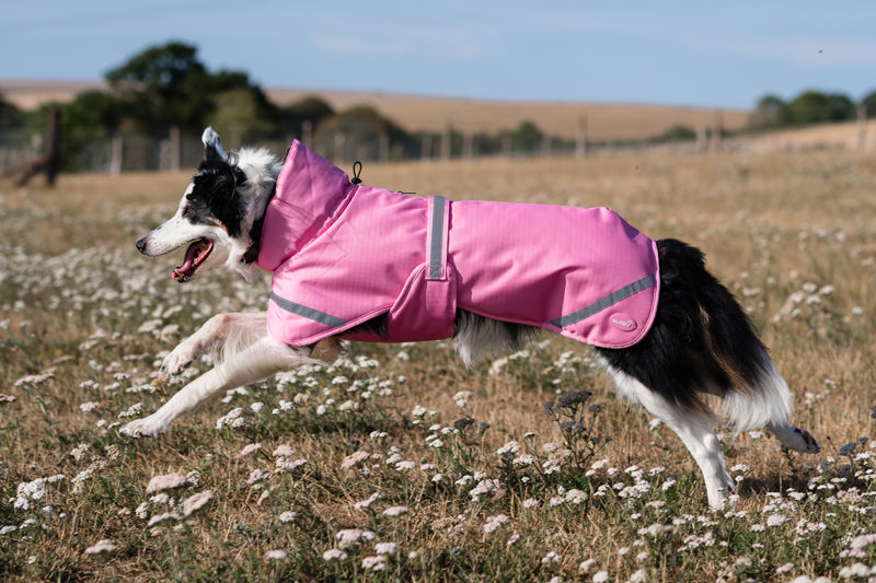 Luxe Waterproof Dog Coat 0g - Baby Pink