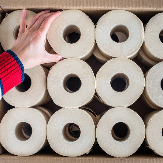 Bazoo Bamboo Toilet Roll Single Roll – 370 Sheets Unbleached Eco Toilet Paper