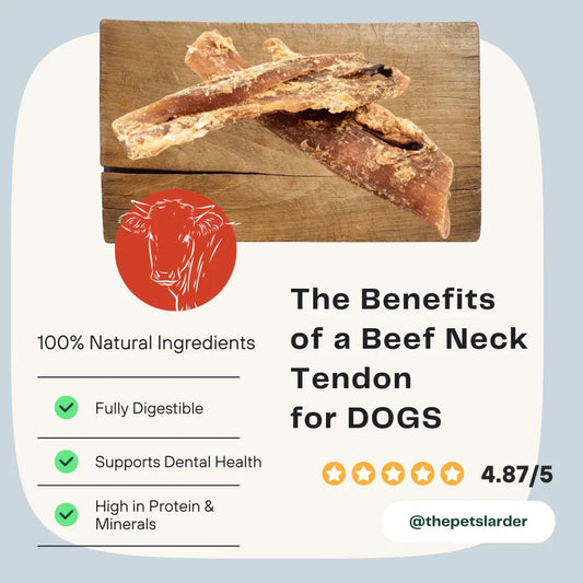 Beef Neck Tendon Natural Meat Chew For Dogs