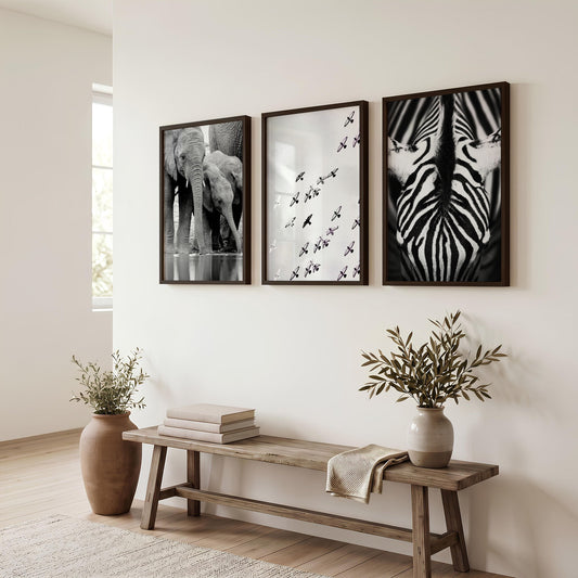Black and White Photography Wildlife Wall Art Prints | Elephants, Birds & Zebra | Set of 3