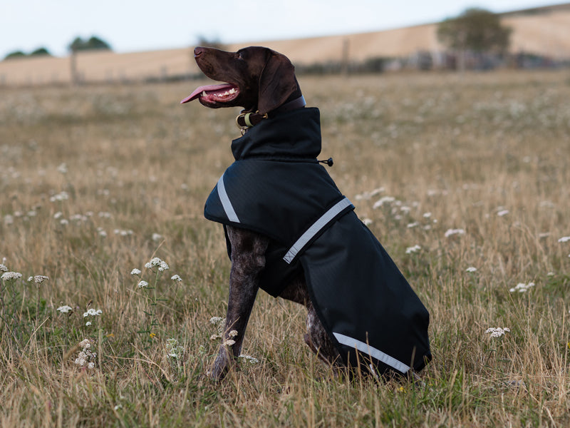 Luxe Waterproof Dog Coat 0g - Black