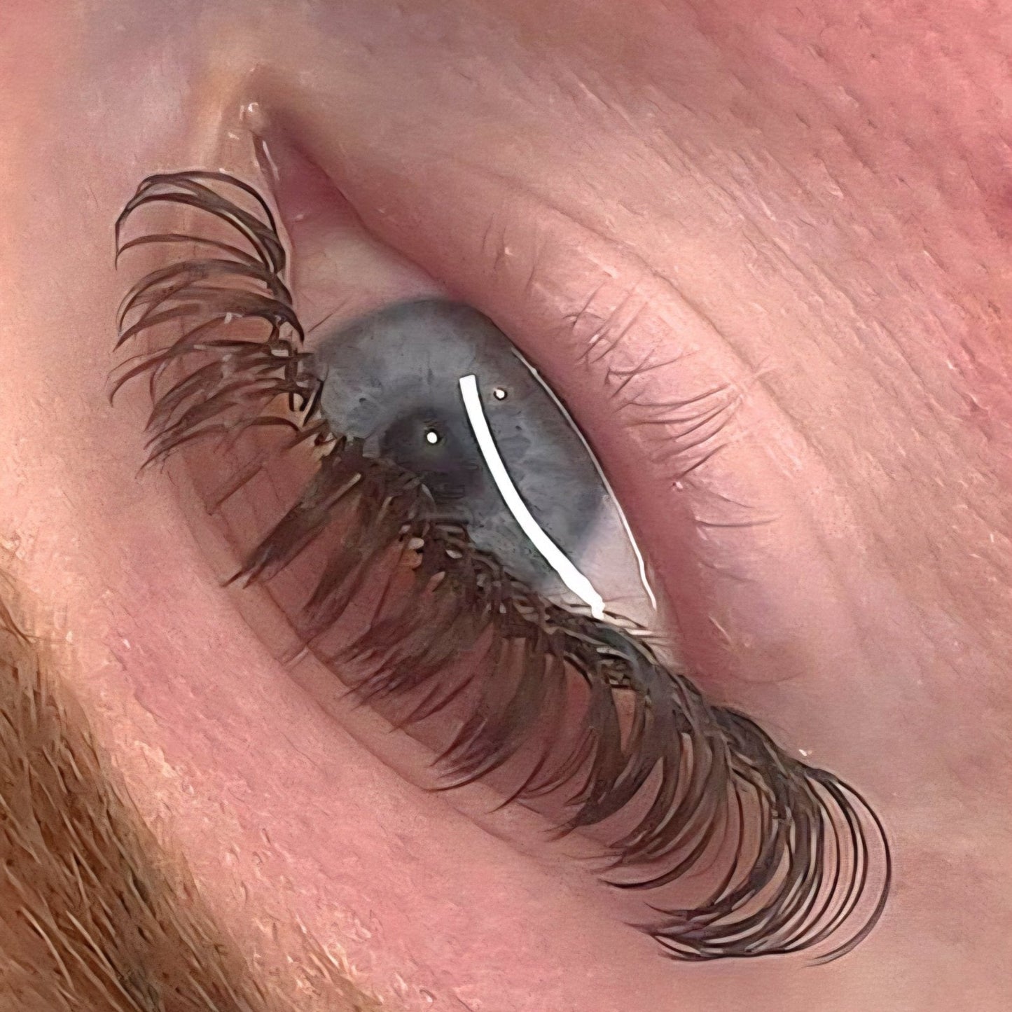 Brown Premade Angel Lashes 5D Closed Fans 16 Row Mixed Tray