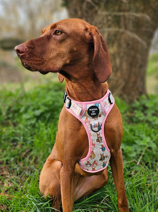 Bunny Tales - Pink, Dog Supaw Strong™ Lite Harness (XS-XL)
