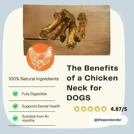 Chicken Neck Natural Meat Chew For Dogs