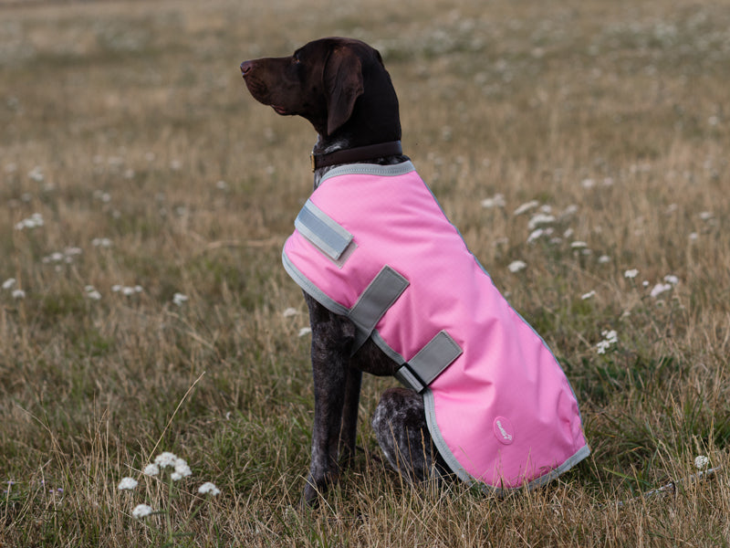 Classic Waterproof Dog Coat 150g - Baby Pink