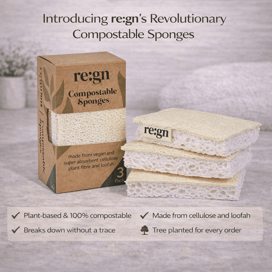 Compostable Kitchen Sponges with Natural Loofah Scourer - 3 Pack