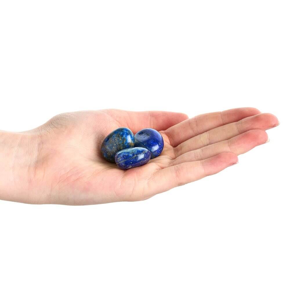 Lapis Lazuli Tumbled Collectible Semi-Precious Gemstone (SINGLE)