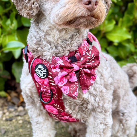 Dog Sailor Bow - Burgundy Bloom