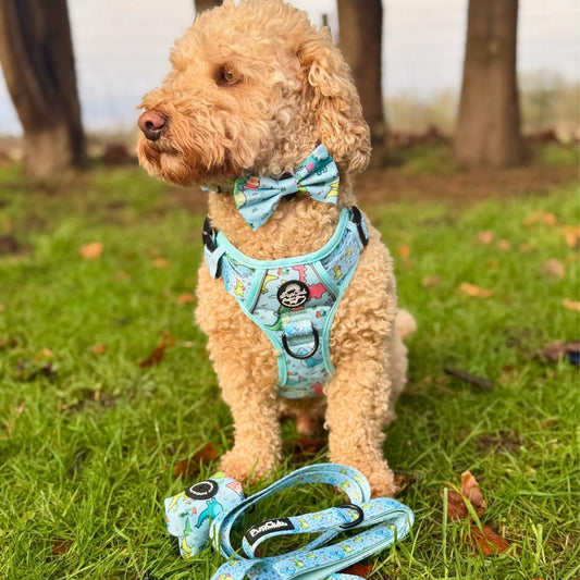 Dog Bow Tie - Jurassic Party