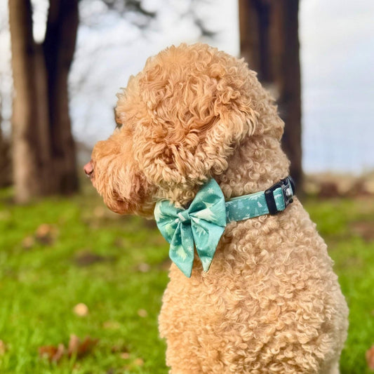 Dog Sailor Bow - Evergreen Trails