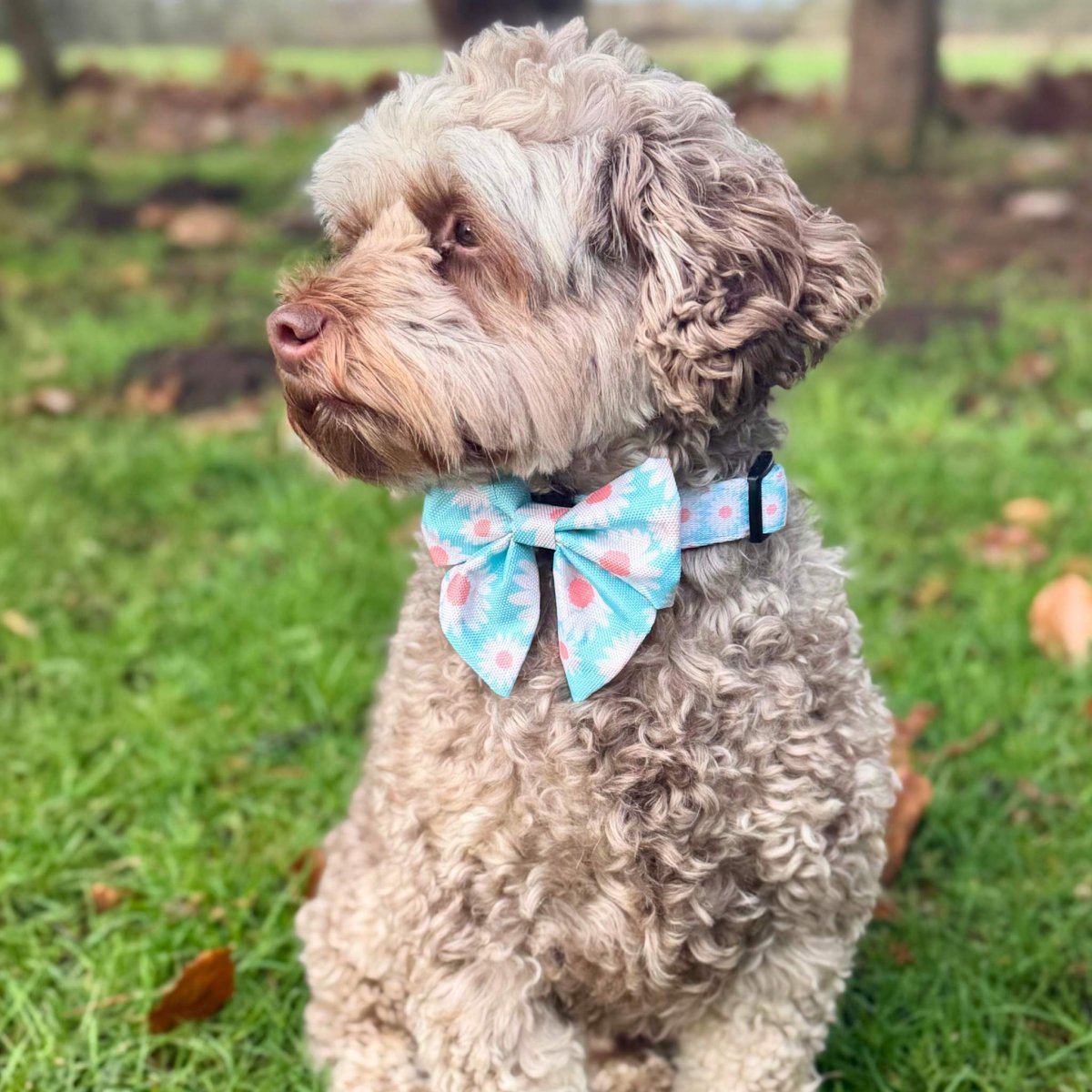 Dog Sailor Bow - Pastel daisy
