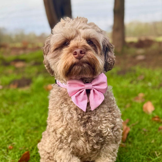 Dog Sailor Bow - Pastel Pink