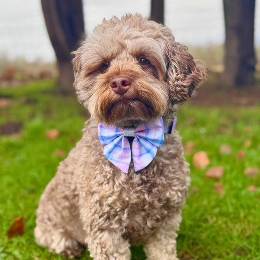 Dog Sailor Bow - Pink Tartan