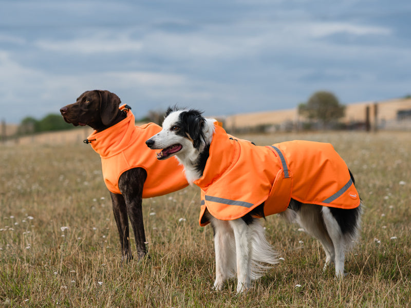 Fleece Dog Coat - Orange