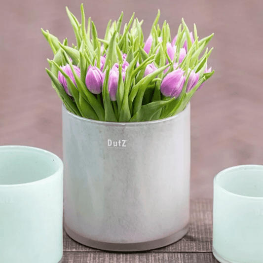 CYLINDER C1 Votive - WHITE