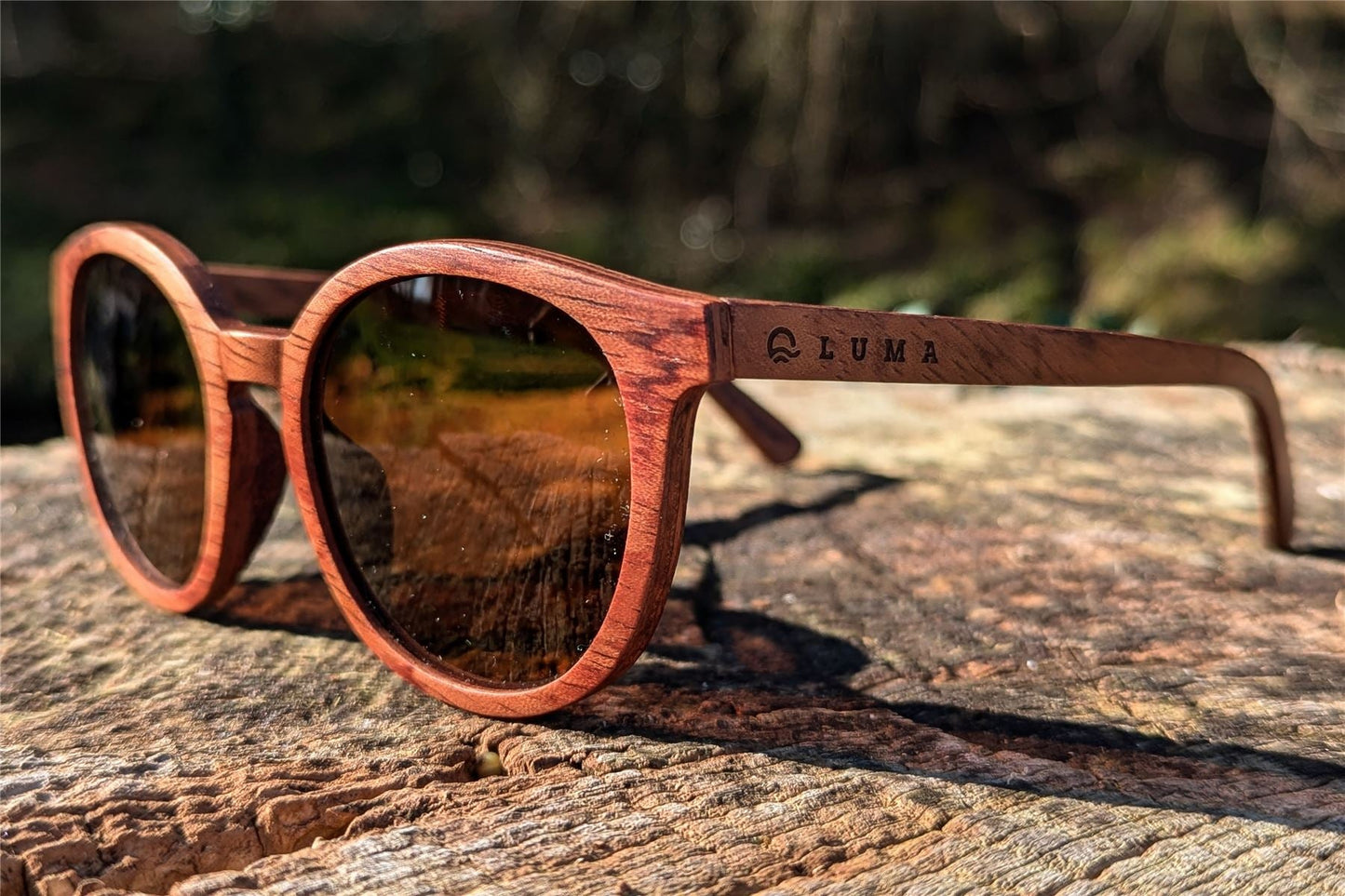 Luma Sunglasses - Meldon - Amber