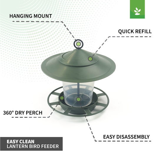 Easy Clean Lantern Bird Feeder