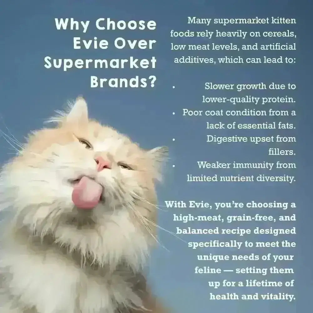 Evie Natural Dry Kitten Food Turkey With Chicken