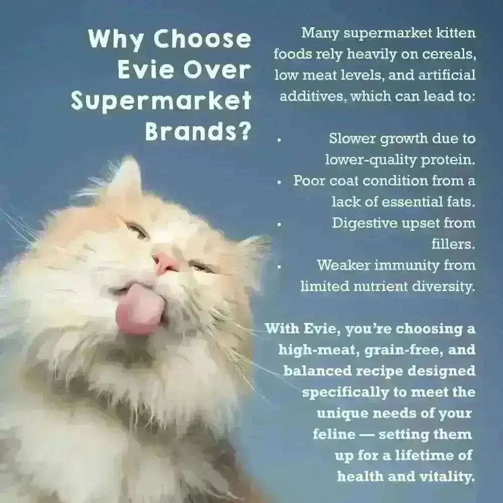 Evie Natural Dry Kitten Food Turkey With Chicken