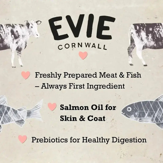 Evie Natural Dry Kitten Food Turkey With Chicken