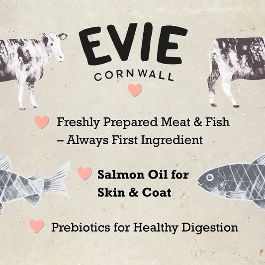 Evie Natural Dry Kitten Food Turkey With Chicken
