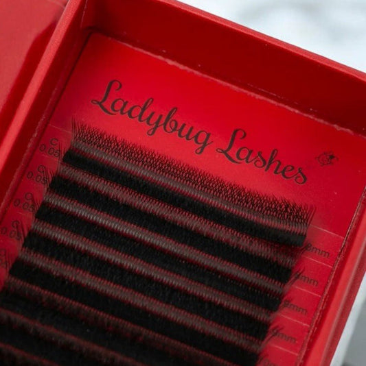 W Lashes – Mixed Tray