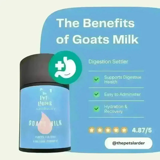 Goats Milk Powder for Dogs A Natural Probiotic