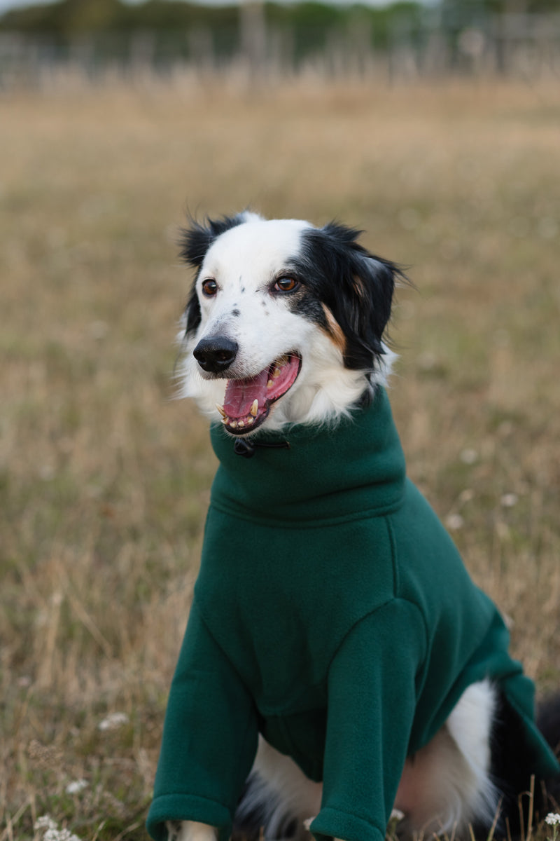 Fleece Dog Jumper - Hunter Green