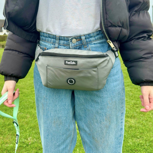 Dog Walking Bum Bag - Grey