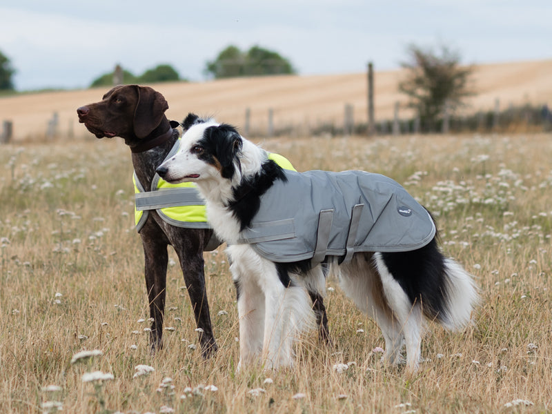 Classic Waterproof Dog Coat 150g - Reflective Silver