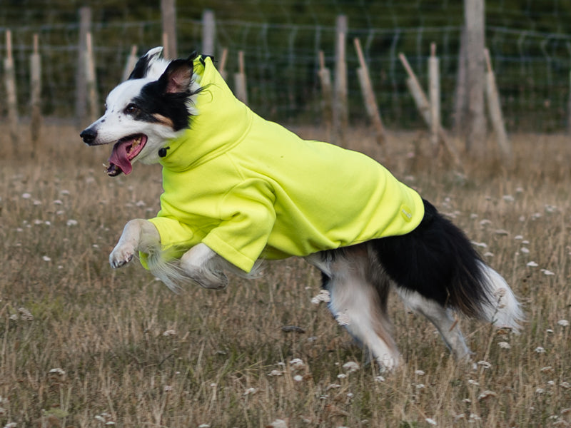 Fleece Dog Jumper - High Viz Yellow