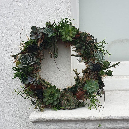 21/02/2026 at 11am Living succulent wreath workshop