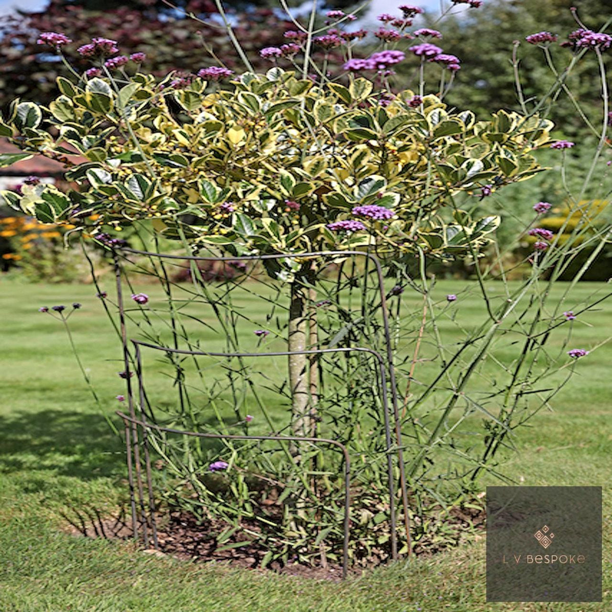 Set of 6 - 500mm wide metal plant supports, mixed heights. Durable and discrete.