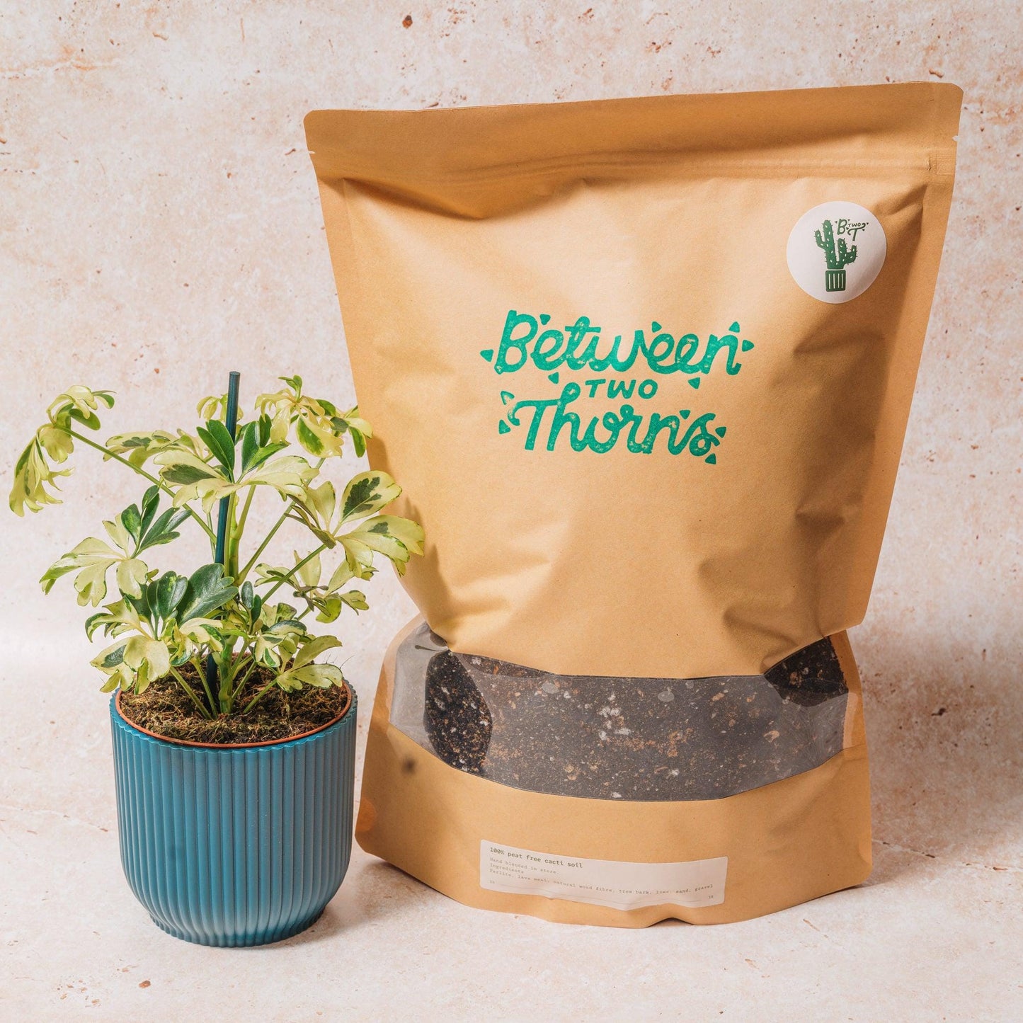 Cacti and Succulent Soil Mix- 500g/1kg Peat Free
