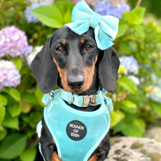 Tiffany's - Light Teal Velvet Bow Tie