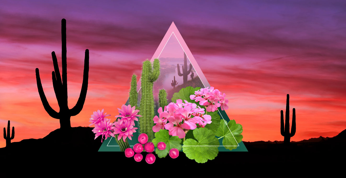 San Ignacio Lagoon Fragrance Oil