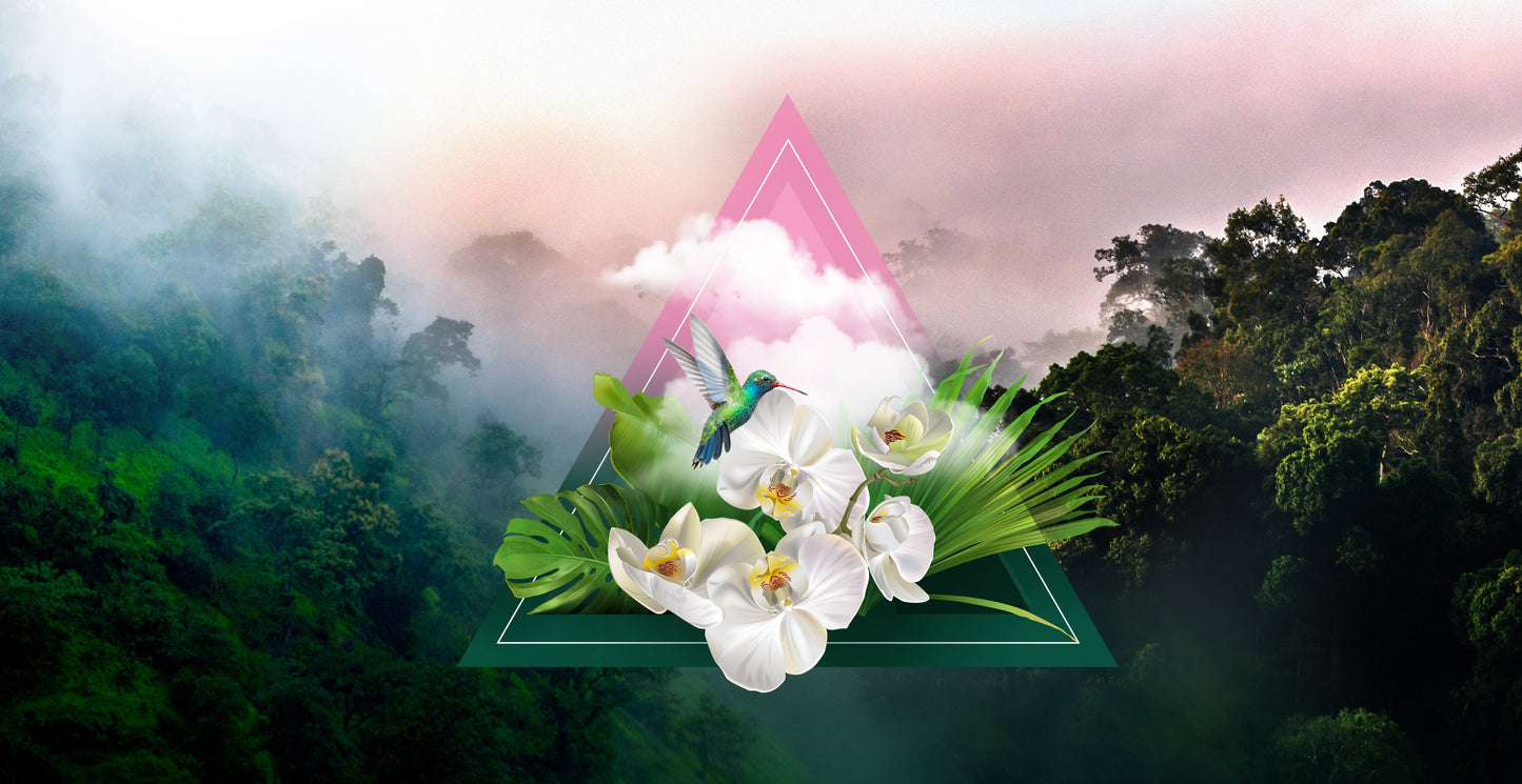 Monteverde Fragrance Oil