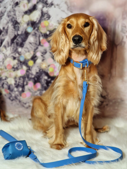 Lichen Blue 'All Weather' Dog Collar