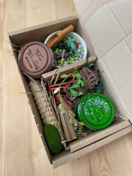 Dinosaur Sensory Box