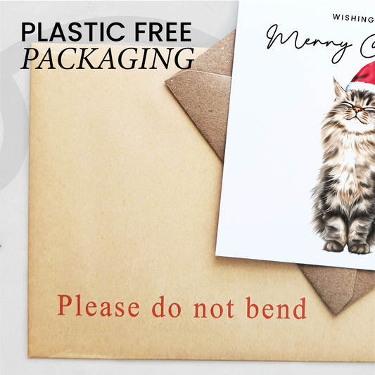 Fluffy Cat Christmas Card – Maine Coon Cat Lover Card – Eco Friendly “Merry Christmas” Card – Cute Pet Holiday Card