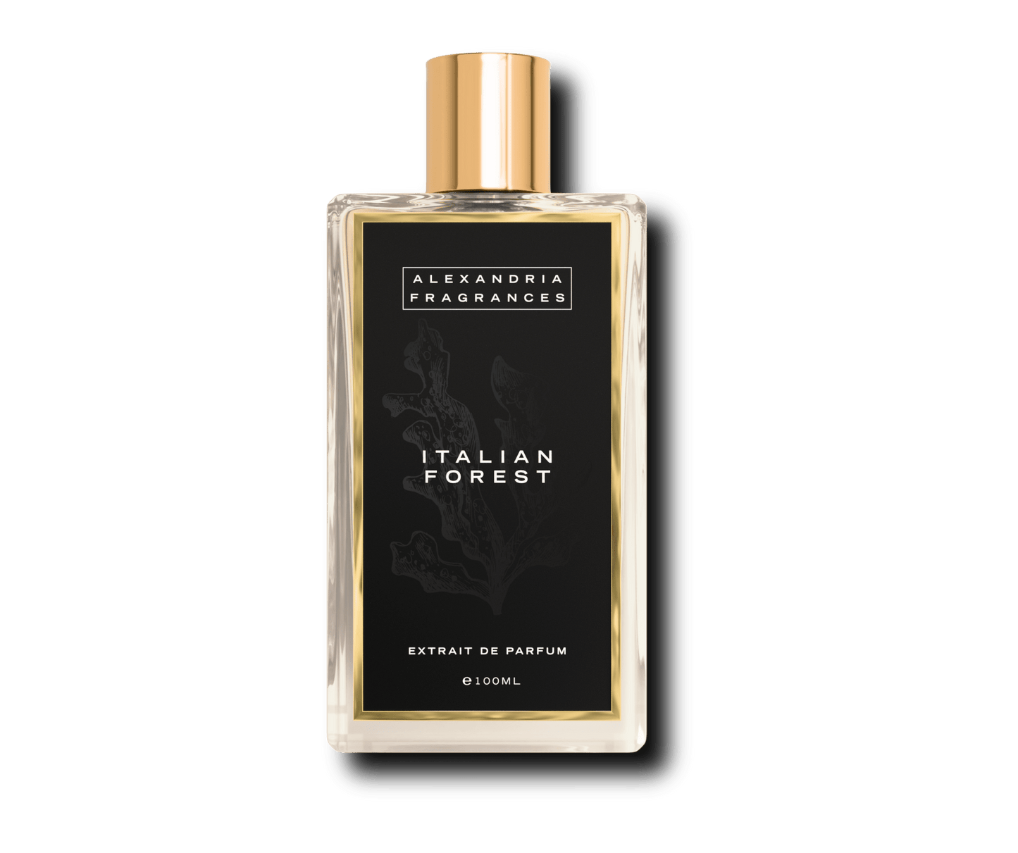 Italian Forest Inspired ByTom Ford's Italian Cypress