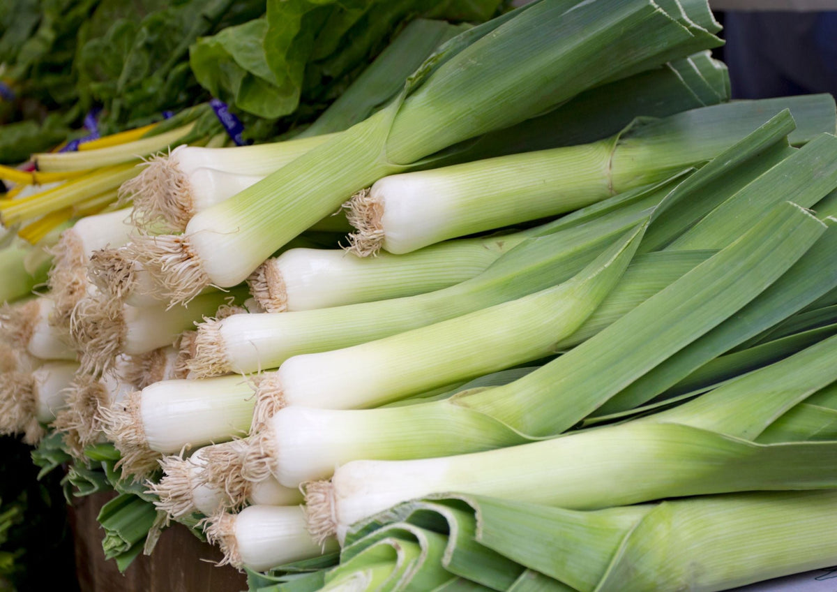 Leek Musselburgh