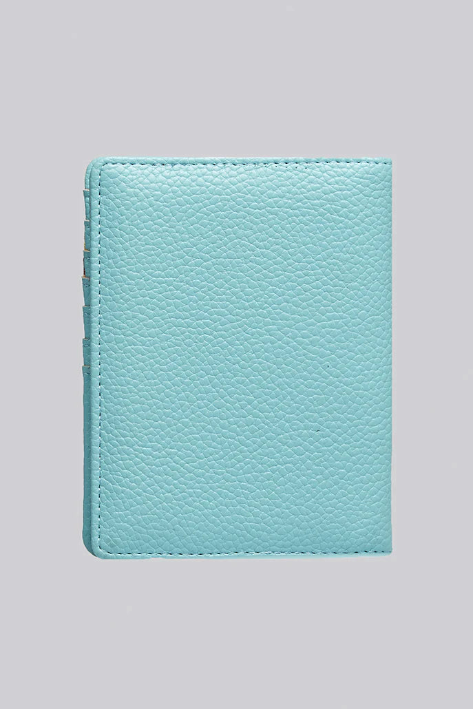 Luna Passport Holder in Blue