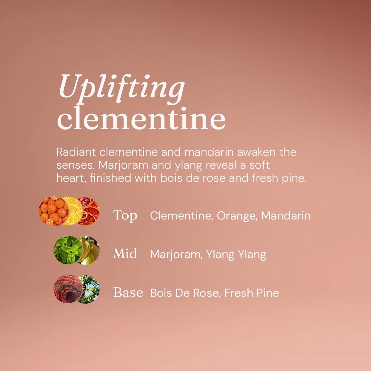 Uplifting Clementine Anti-Bac Hand Soap – 5L Refill Gel Cleanser