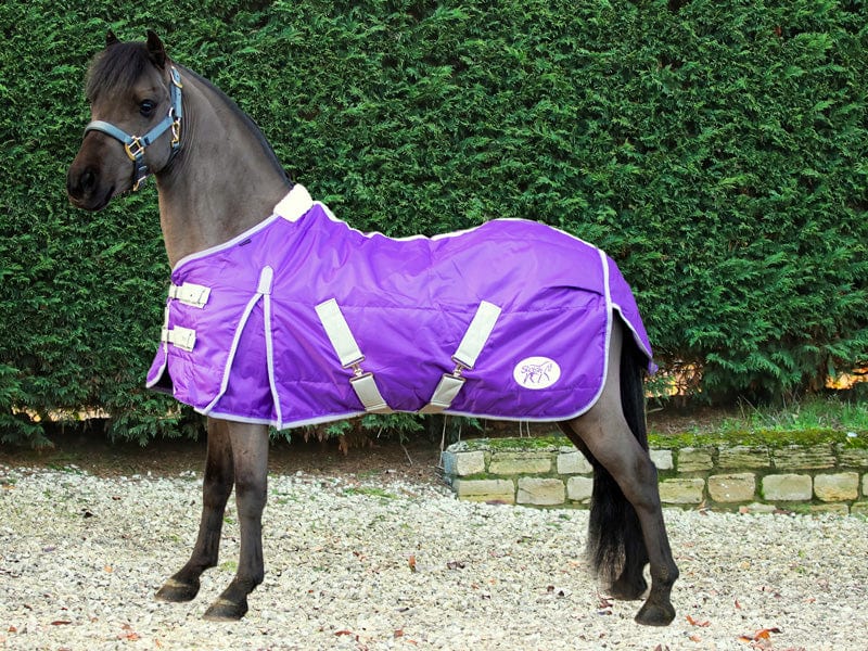 Mini 100g Stable Rug - Purple